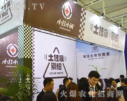 С��С�[��չ2016���Kȫ��ֲ����