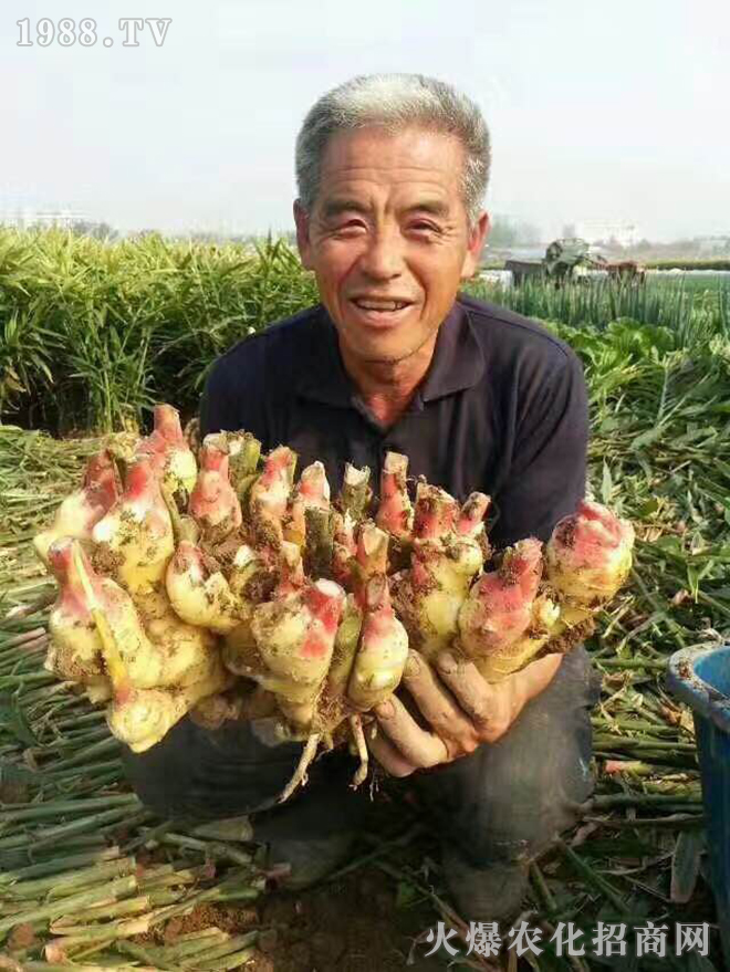 �����ʢ�ʘI(y��)�Ƽ����޹�˾7