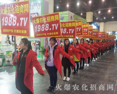 2017����Ϸ����p������1988.TV�����»���