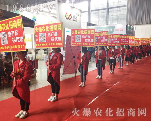 �o̎�����r(n��ng)���W(w��ng)���M�۱M�ǻ𱬼t��