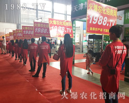 2017�����r�Y��