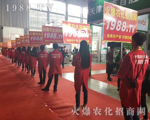  2017�����r�Y����1988.TV�������F(xi��n)�����Pע��