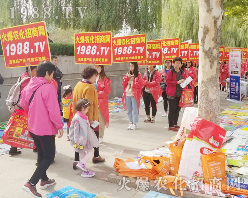     ��24��ɽ�|ֲ�����ו��ϻ��r(n��ng)���W(w��ng)��Ӣ�ɳ�������(zh��n)����