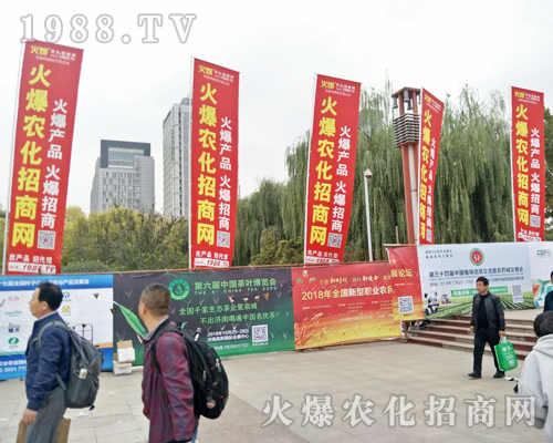 2018ɽ�|ֲ���p����(hu��)�������r(n��ng)���W(w��ng)ȫ���������̹���