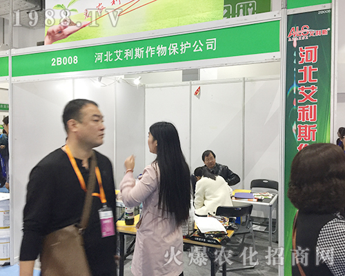 ����˹����1