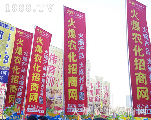 2018���������r(n��ng)ˎ����1988.TV����***��