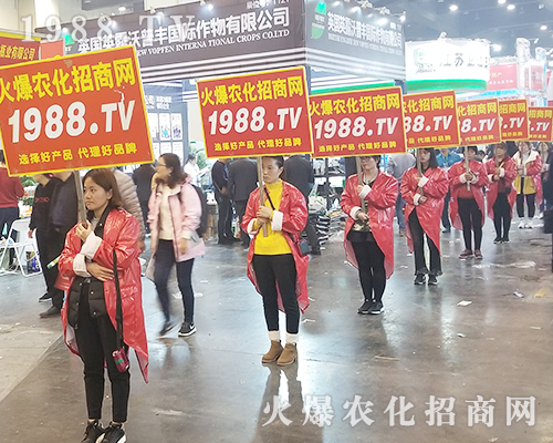     2018�����r(n��ng)ˎ�������r(n��ng)���W(w��ng)׌�fǧ�S�̳ɹ��_��(chu��ng)δ��