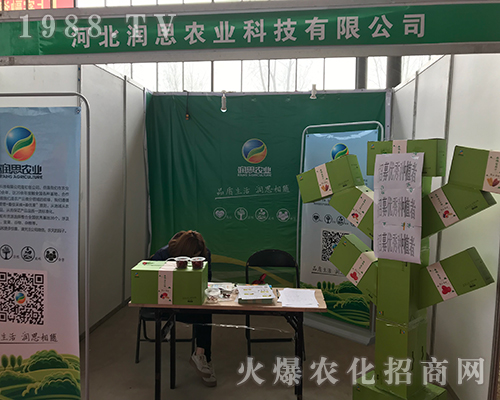 �ӱ���˼���ݳ���2018�ӱ�ʯ���fֲ����