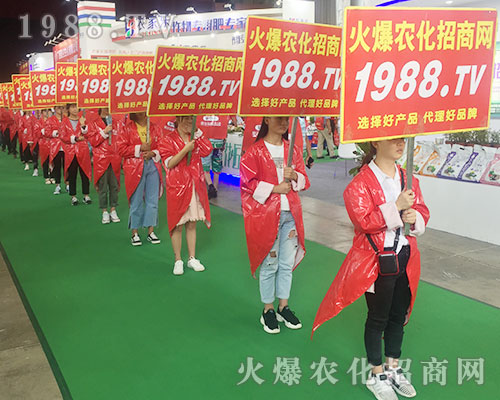 2018�����r(n��ng)�Y����1988.TV�����������ݲ��ɓ�