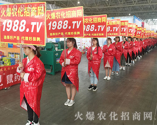 2018�����r(n��ng)�Y��(hu��)��1988.TV�ٴγɞ�ȫ�����c(di��n)��