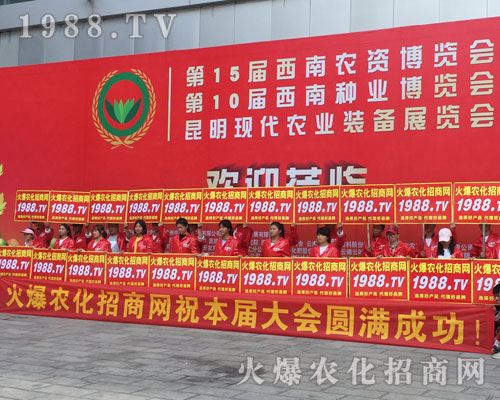 �o̎�����r(n��ng)���W(w��ng)���M�۱M�ǻ𱬼t��