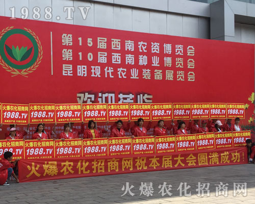 �o̎�����r(n��ng)���W(w��ng)���M�۱M�ǻ𱬼t��