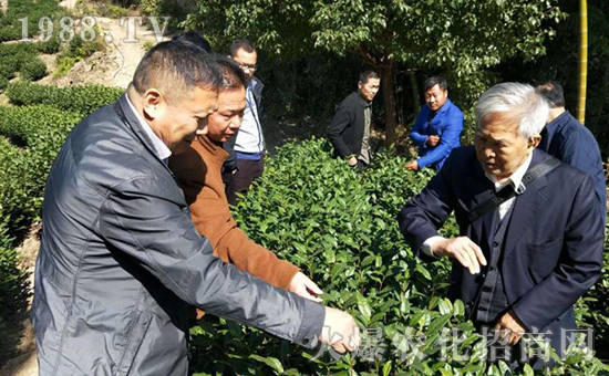 �ӱ����_(t��i)���(y��ng)���﹤�����޹�˾