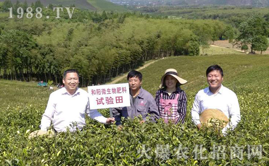 �ӱ����_(t��i)���(y��ng)���﹤�����޹�˾