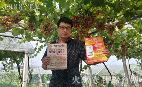 �ӱ����_(t��i)���(y��ng)���﹤�����޹�˾