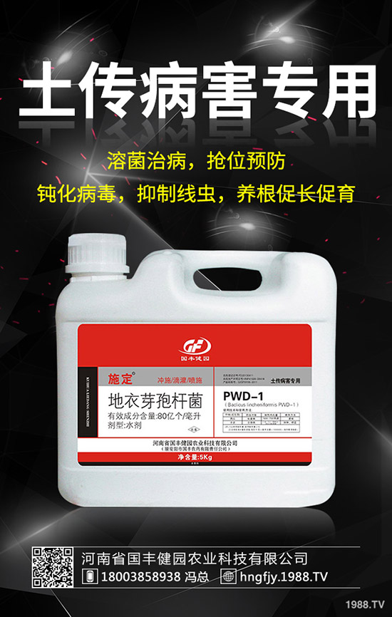 С�����݄�ʲô�r���ã�С������݄��ĕr�g��ע�������