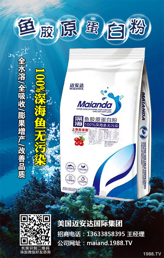 �ײ˲�����Σ���޴󣬵���ԓ��ô�k���ײ˲�����������ΈD�V