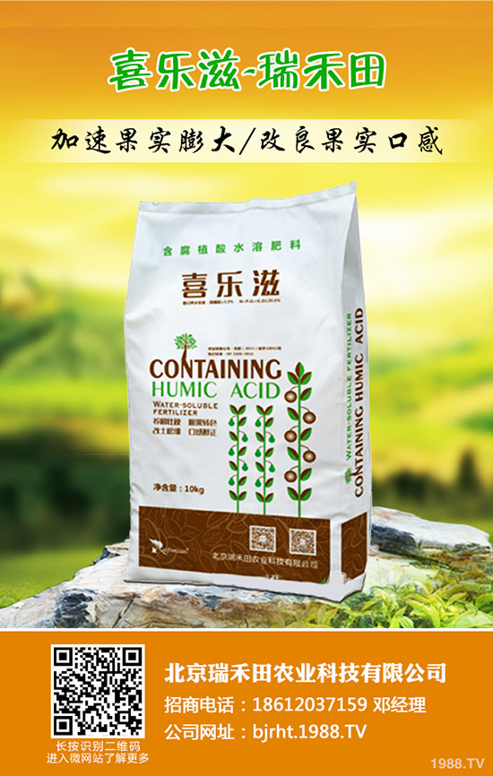 冬棗什么時間種植，冬棗高產管理技術！