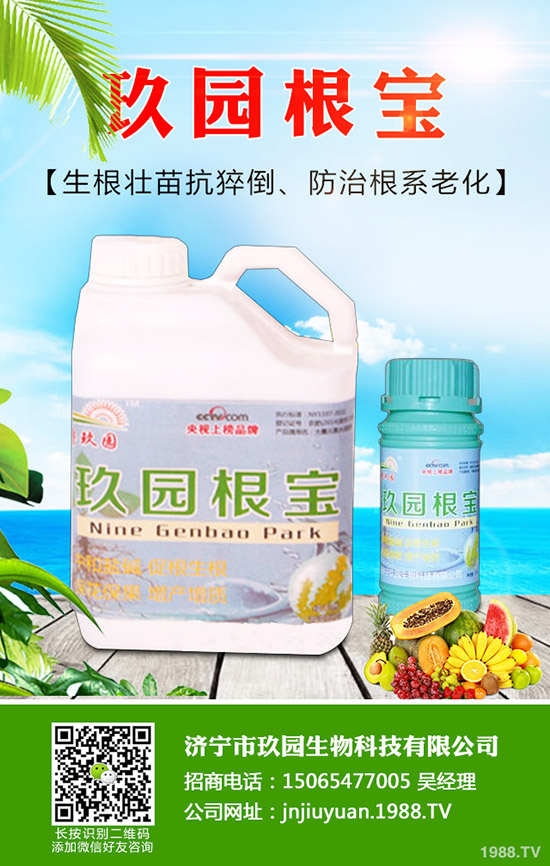 �������x(ch��ng)��η����������x(ch��ng)��Σ�����l(f��)��Ҏ(gu��)����