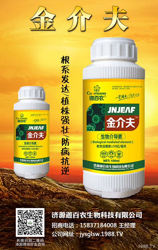 ���������o��������ô�k�������o���������\���c���Σ�