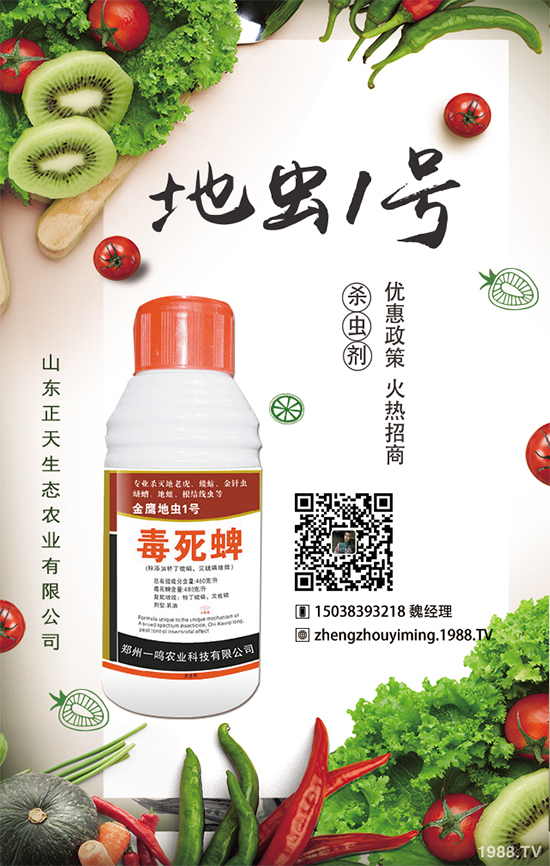 �����}����ηNֲ�������}����Ҫע��ʲô��