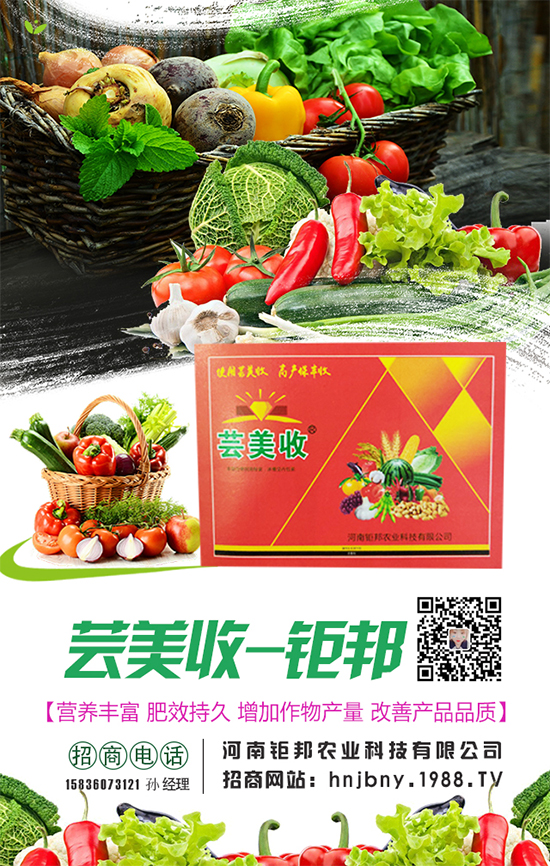 �����}�����L���h(hu��n)���l��Ҫ���������}����ôʩ�ʣ�