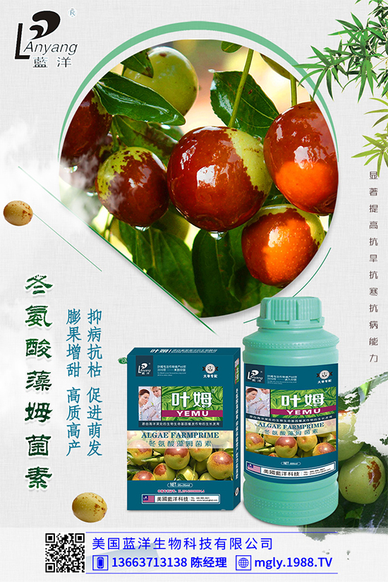 �ײ�ܛ��������������������ЩΣ�����ײ�ܛ�����İl(f��)���c����