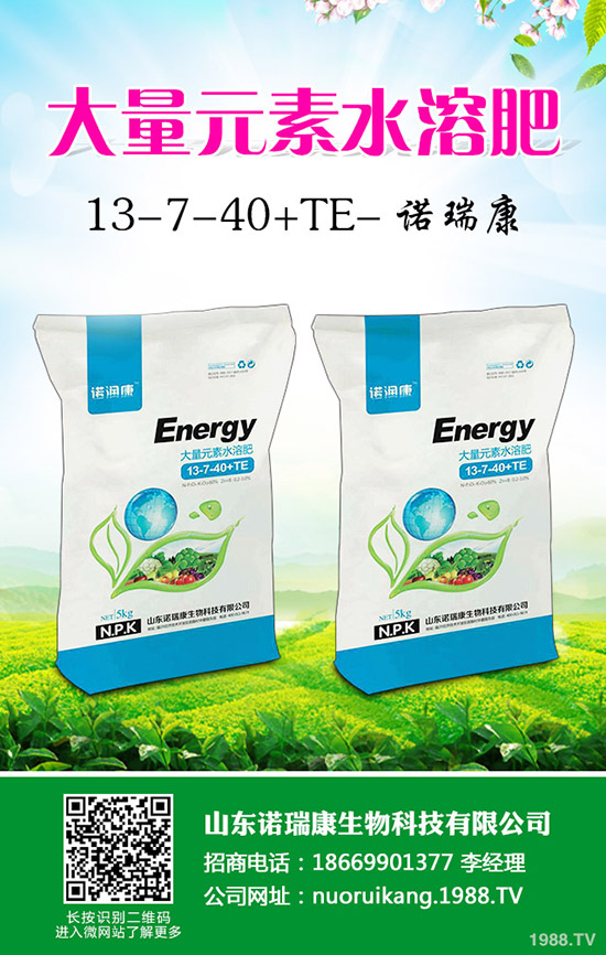 2019年10月下旬最新復合肥行情走勢綜合分析