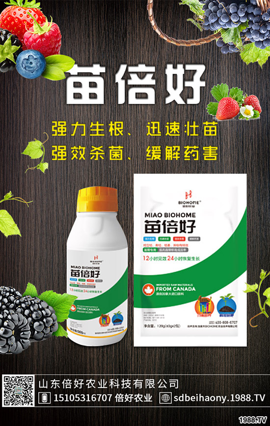 ����ʲô�r(sh��)��Nֲ������ʲô�r(sh��)����գ�