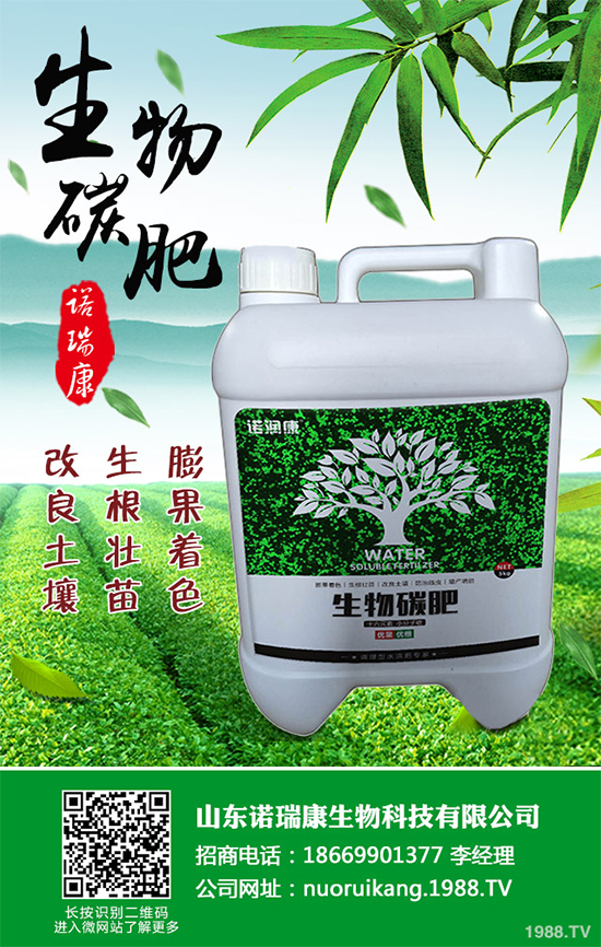 ����������ԓ��ô�N�������@���c���p�ɷN�������ˣ�