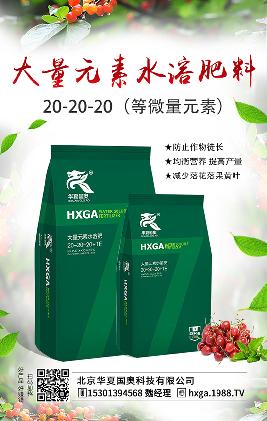 �����A�ć�(gu��)�W�Ƽ����޹�˾1