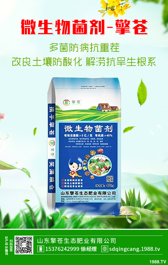     ���؃r(ji��)���µ�һ����2019��10��26�ս��ո��؅^(q��)�����������S��(b��o)�r(ji��)��