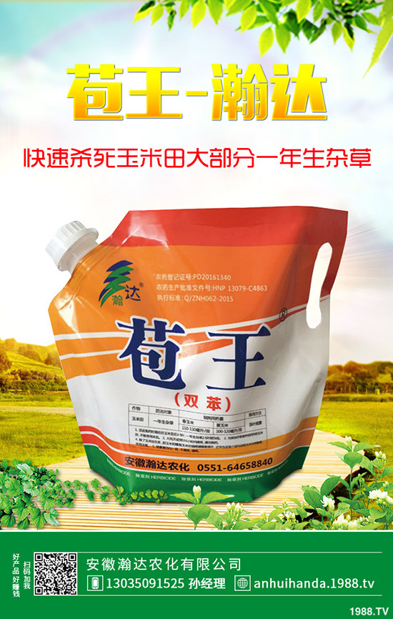 ʯ骻���ô�Nֲ��ʯ骻����B(y��ng)ֳ������