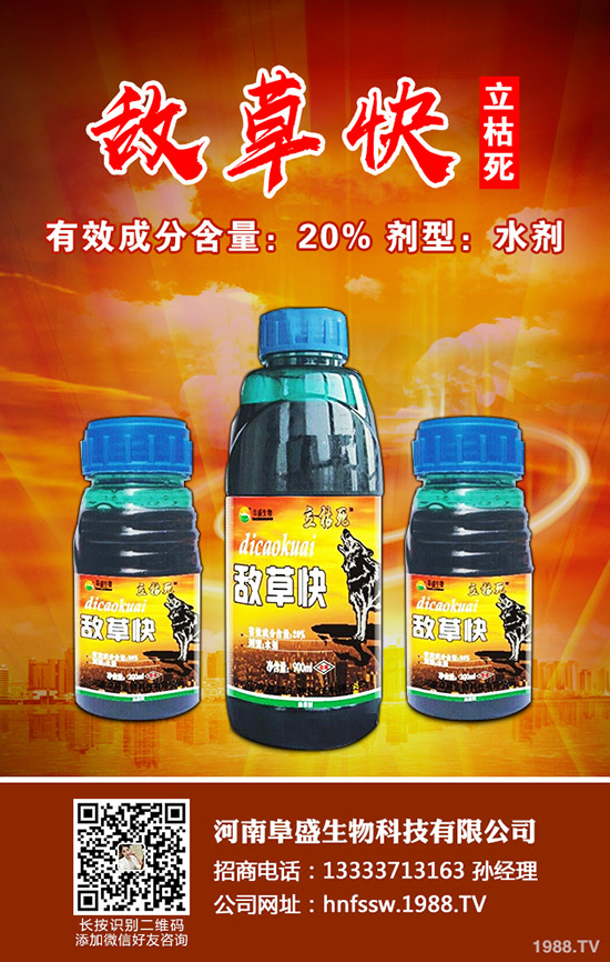 豆角徒長是什么原因,豆角徒長的解決方法