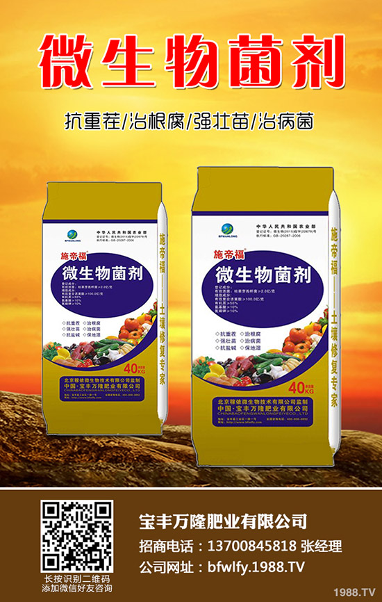 黑豆什么時候種植,黑豆收獲時間及種植方法!