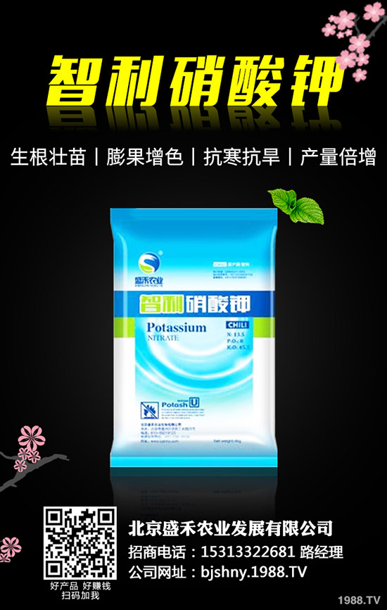 �ڶ�ʲô�r��Nֲ���ڶ��ķNֲҪ�c����Щ��