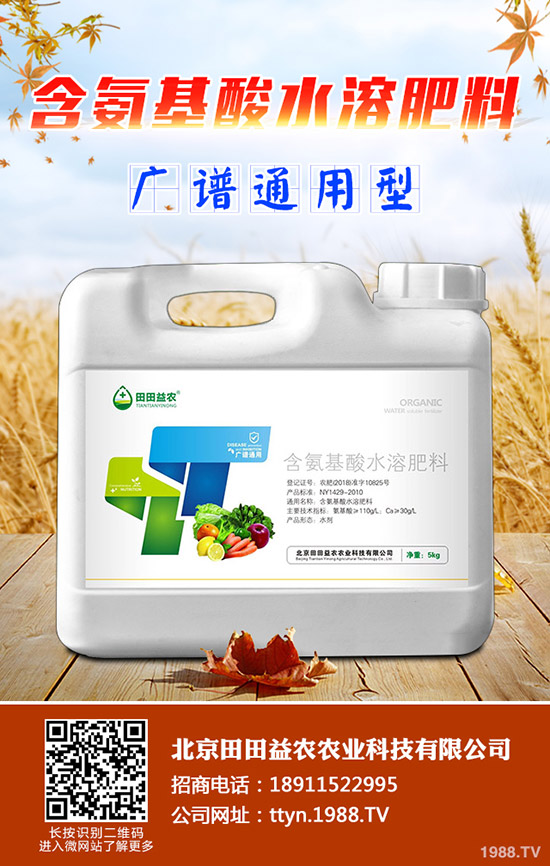 ⛷ʃr���^�m(x��)���{(di��o)��⛷ʃr������һ�[2019-11-14