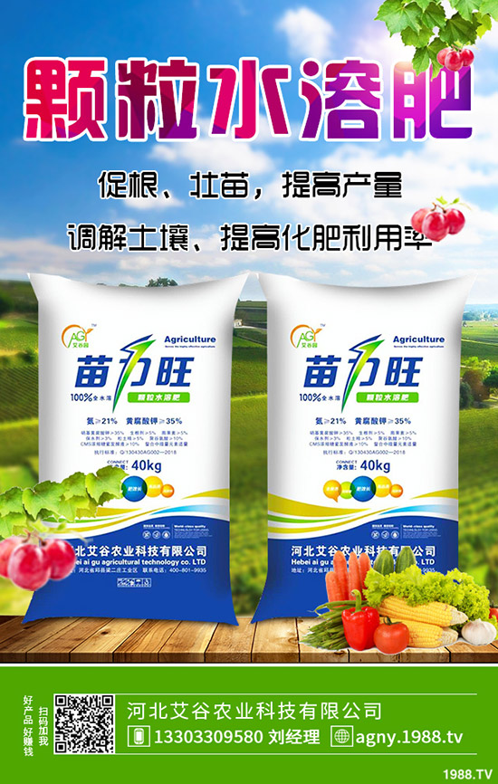 ����������ԣ�����p�����������؃r������2019.11.14