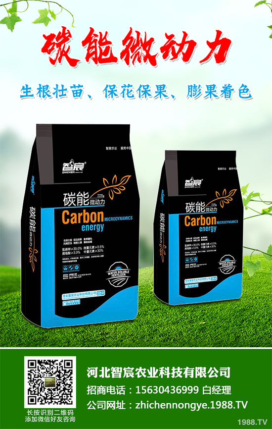 冬季大棚蔬菜種植該注意什么？切記別進(jìn)這六大誤區(qū)