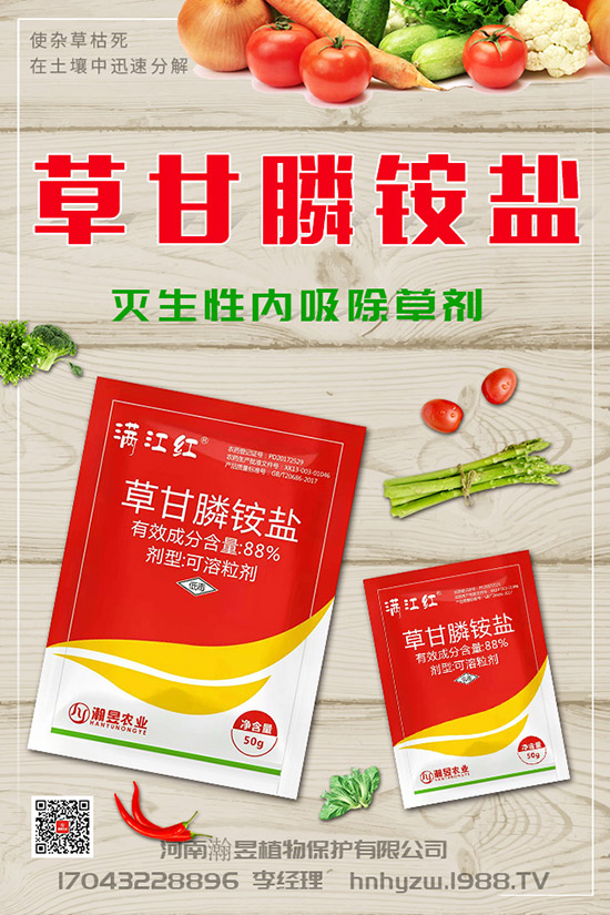 草莓根腐病得了根腐病咋辦？草莓根腐病發(fā)生條件、發(fā)病發(fā)癥狀及防治！