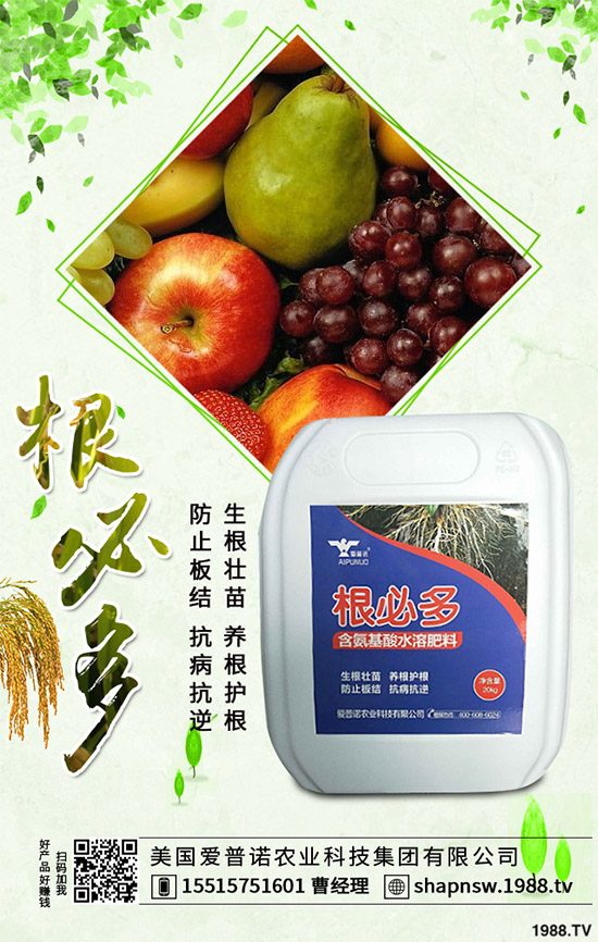 茄子怎么管理才能高產(chǎn)？茄子高產(chǎn)七大管理措施