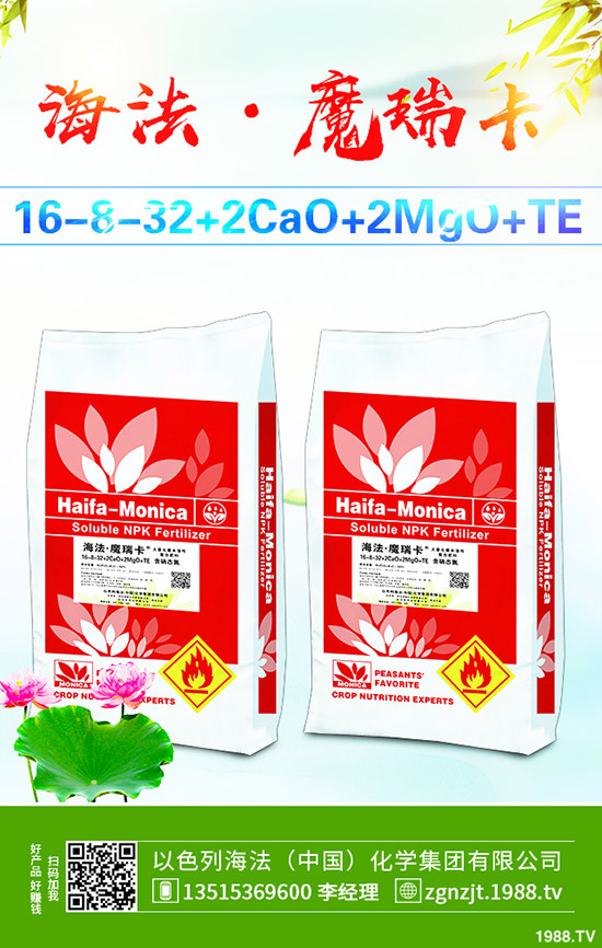     2019��11����Ѯ������@�r�������߄ݾC�Ϸ�����