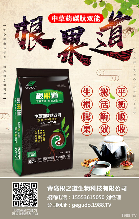     ����(n��i)���؃r����q����2019��11��19�ս��ո������³��S��r������