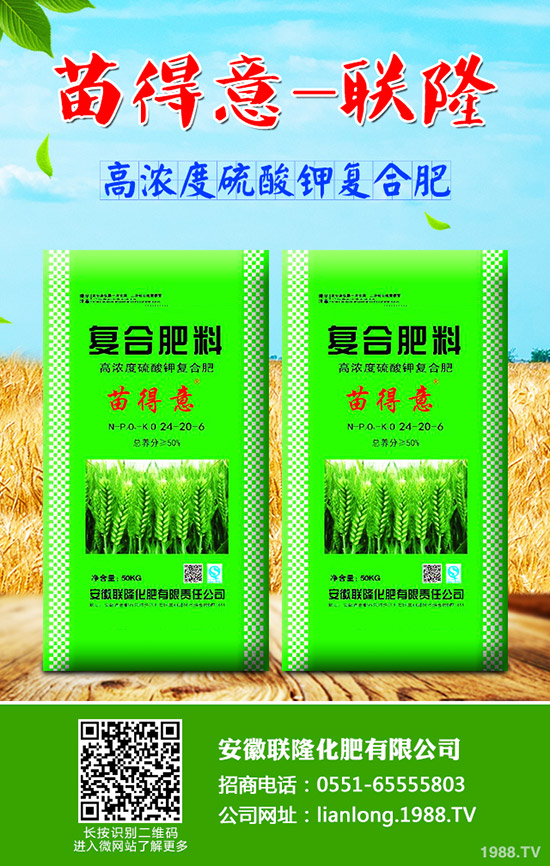 ��ţ��?q��)����w��ʲô��̎��ţ��ĠI�B(y��ng)�rֵ����Ч!