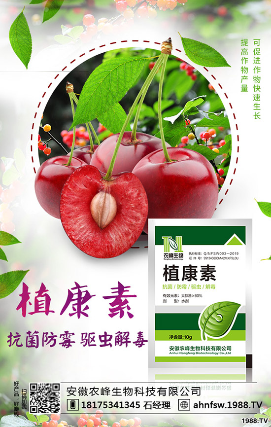 ��(d��ng)�w��ô�Nֲ����(d��ng)�w�NֲЧ�漰���༼�g(sh��)��