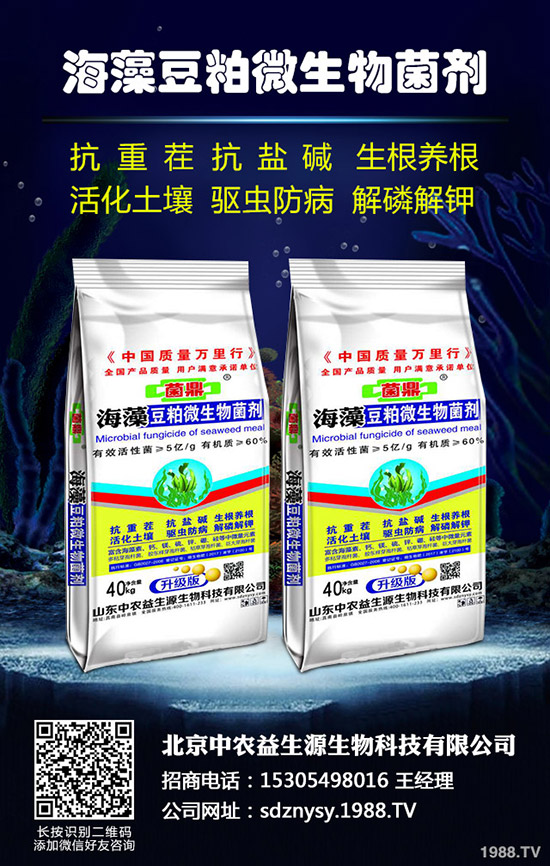 2020年水稻種植怎么樣？賺錢嗎？包多少畝合適？一畝種植成本多少？