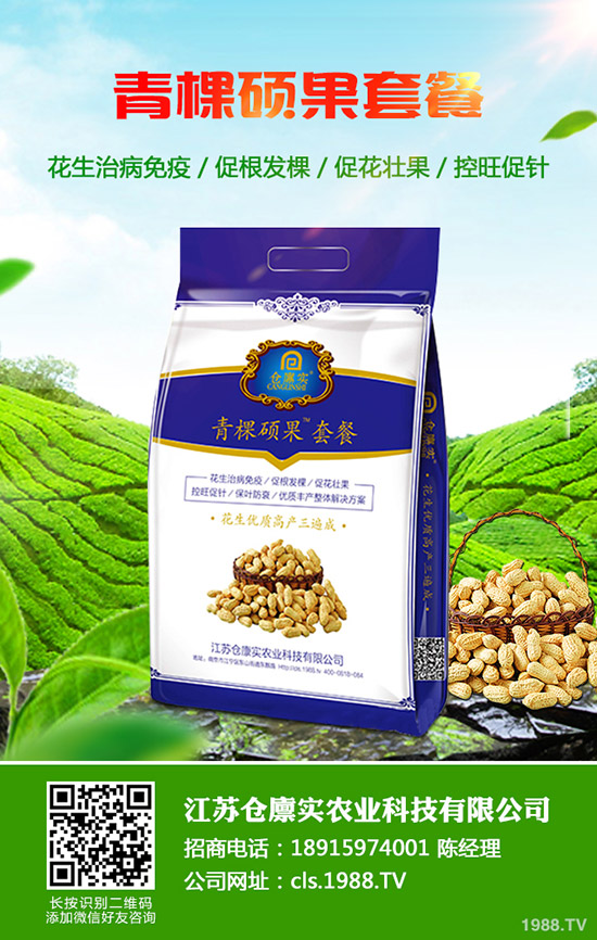     2019��11�µ���������⛷������߄ݾC�Ϸ�����