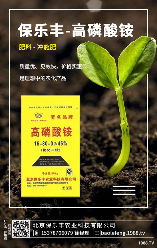 �}���������l(f��)��Ҏ(gu��)������Щ���}������������Ҫ�c��