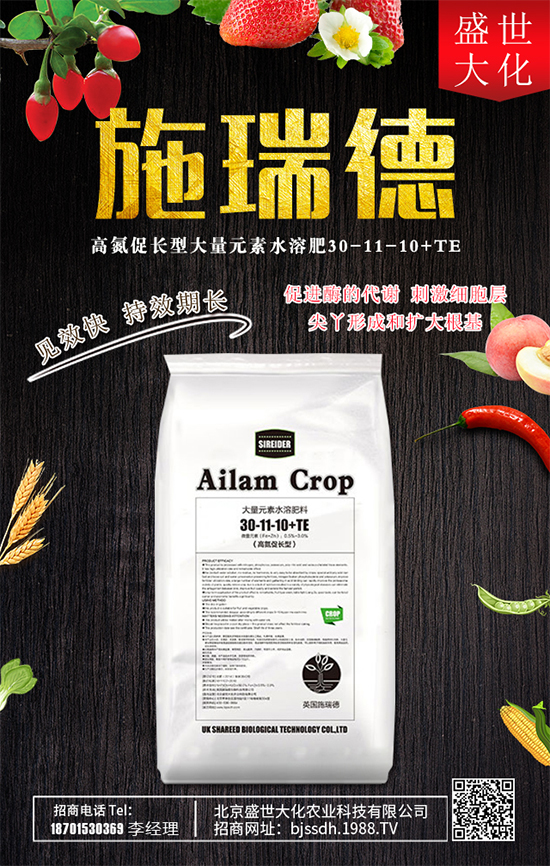 ʯ����ʲô�I�B(y��ng)�rֵ��ʯ������Щʳ�ù�Ч��