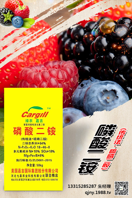 С����ʲô����(ji��)���N������Щ�Nֲ������